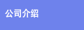 公司介绍